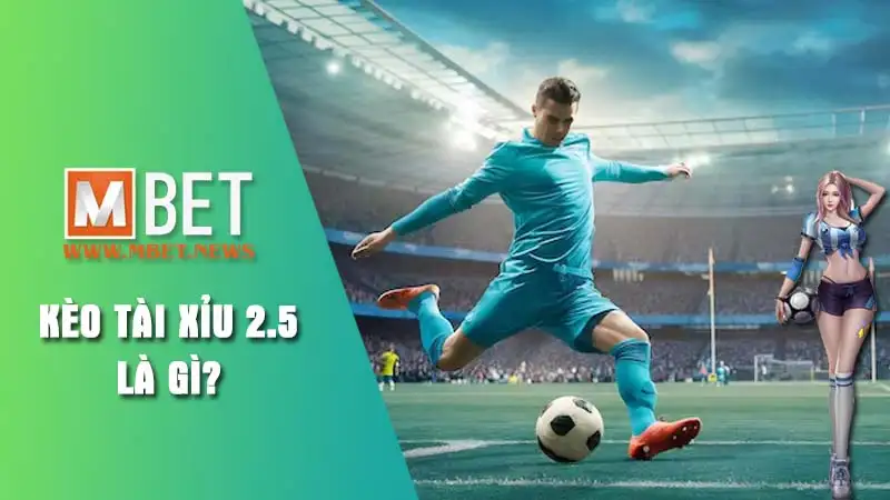 Tìm hiểu kèo Tài Xỉu 2.5 là gì?